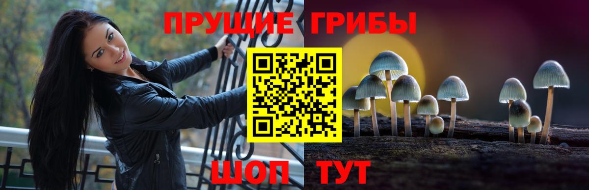 Псилоцибиновые грибы прущие грибы Узловая
