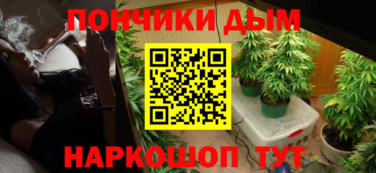 Бошки Шишки Amnesia  Марихуана THC 21%  Узловая  Бошки Шишки план  Вход с VPN  Шишки марихуана Bruce Banner 